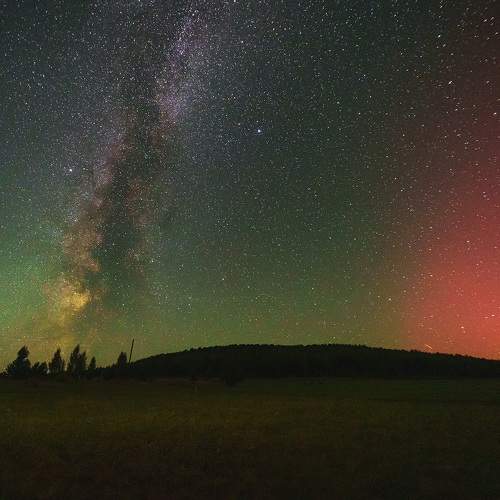 Photo #11648315