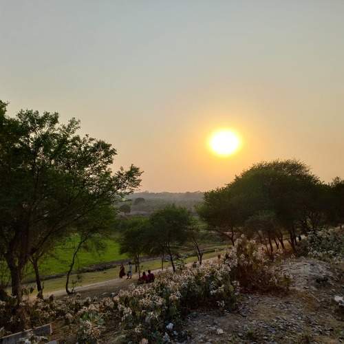 Photo #11648553