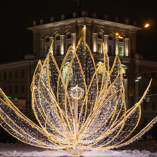 Photo #11648560