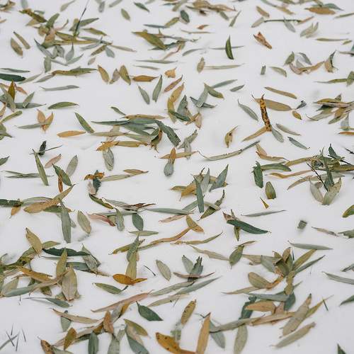 Photo #11648698