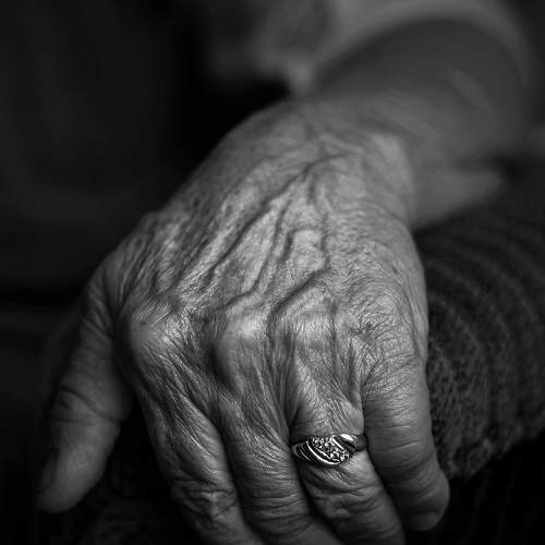 Photo #11648706