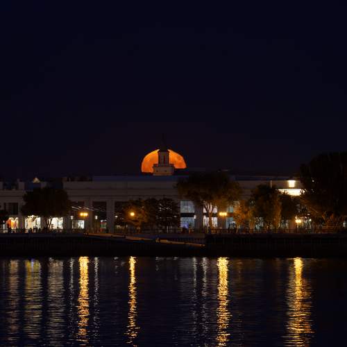 Фотография #11648995