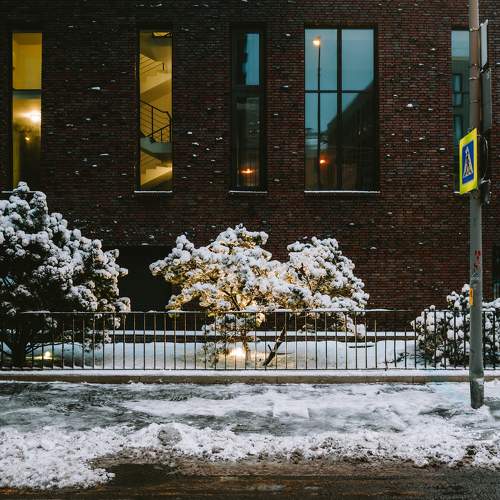 Photo #11649001