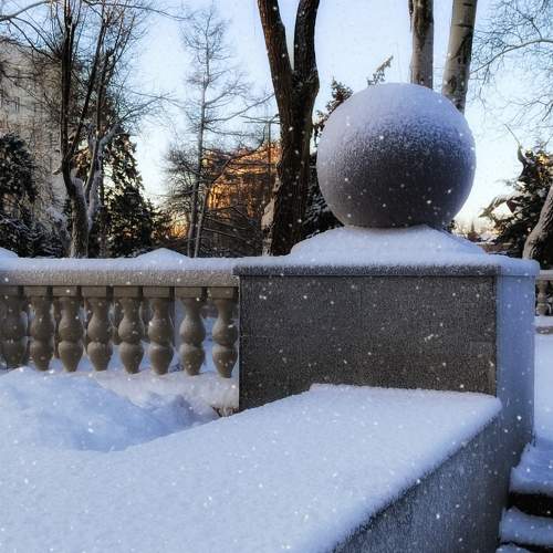 Photo #11649154