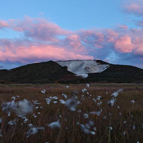 Photo #11649271