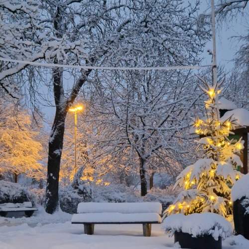 Photo #11649341
