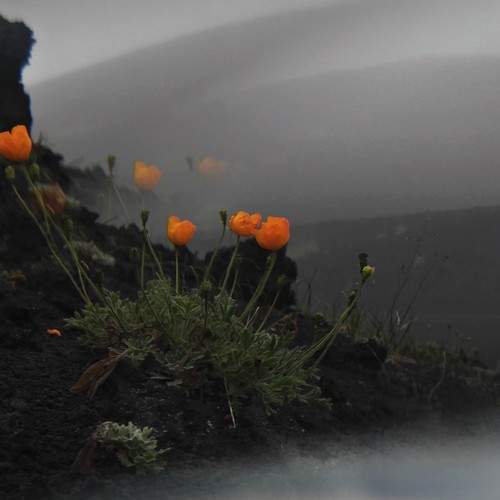 Photo #11649486