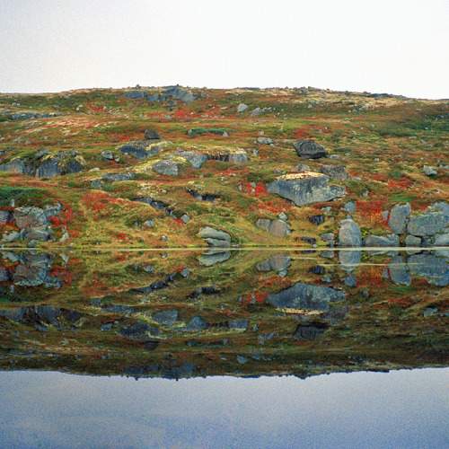 Photo #11649753