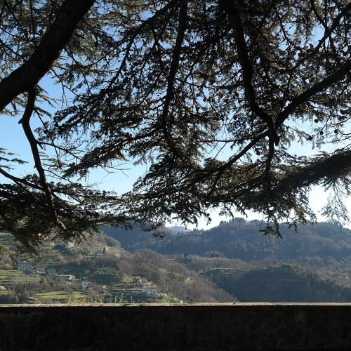 Photo #1166834