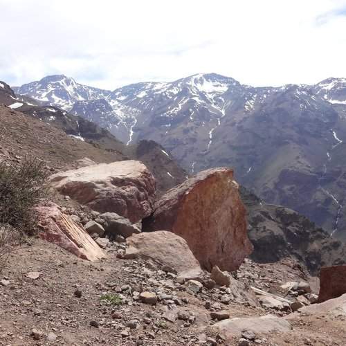 Photo #1168689