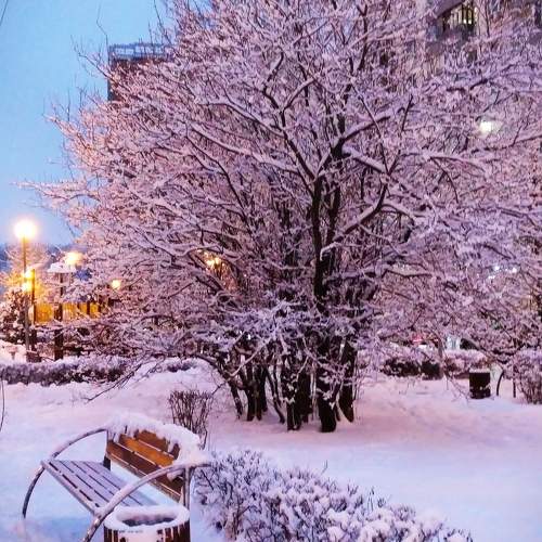 Photo #11650132