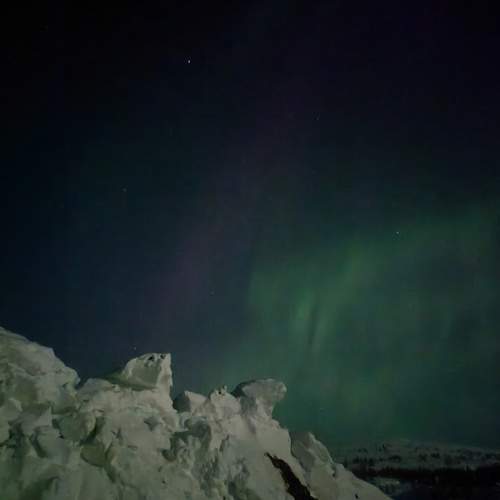 Photo #11650165
