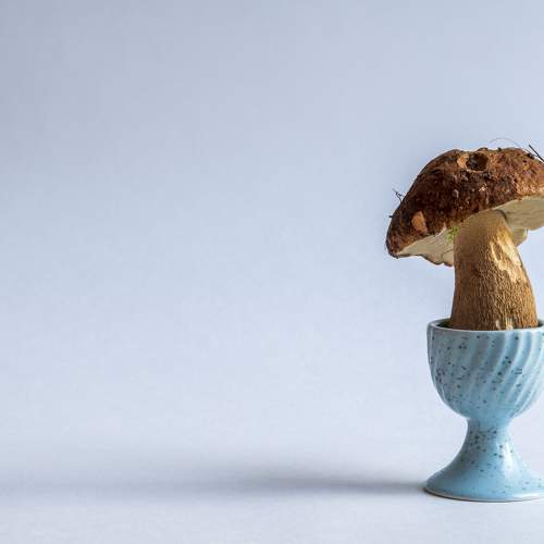Photo #11650207