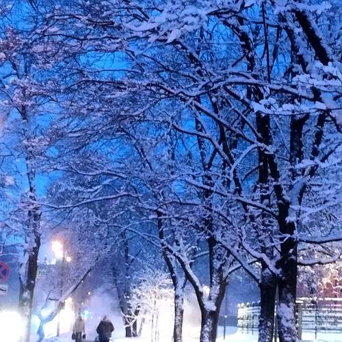 Photo #11650344