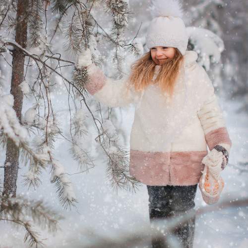 Photo #11650519
