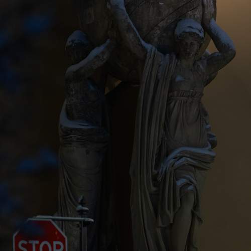 Photo #11650556