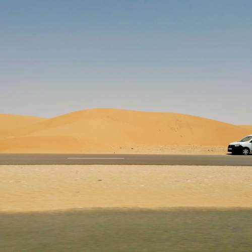 Photo #11650847