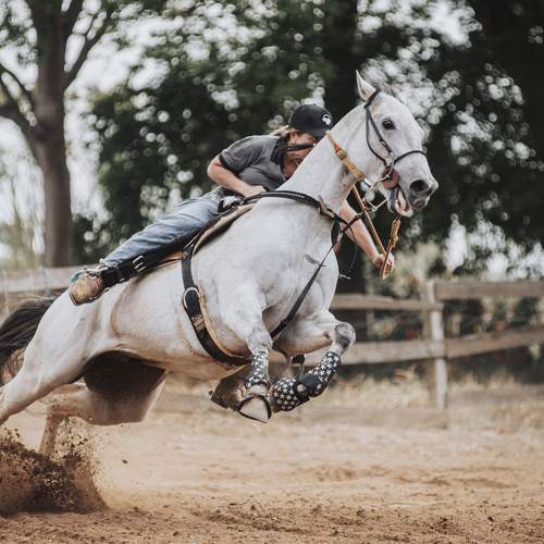 Photo #11650888