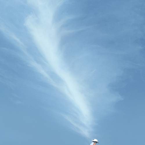 Photo #11651035