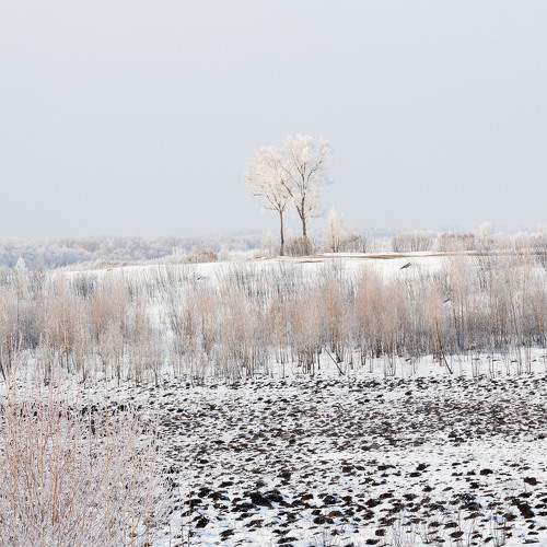Photo #11651104