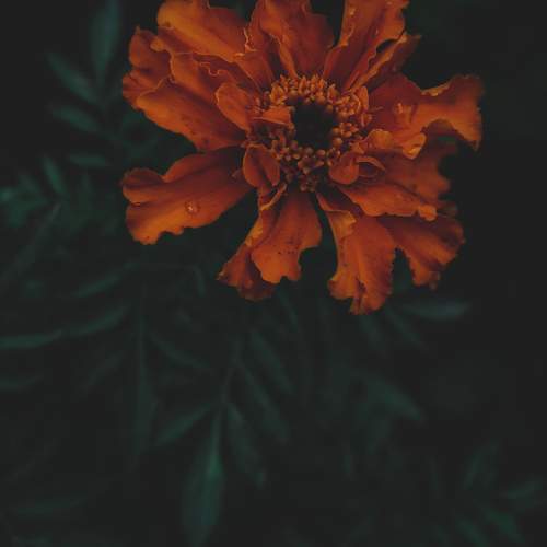 Photo #11651719