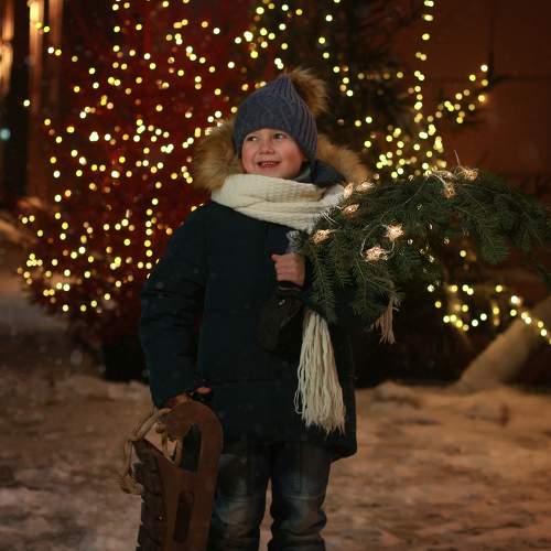 Photo #11651731