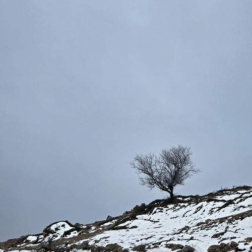 Photo #11651782