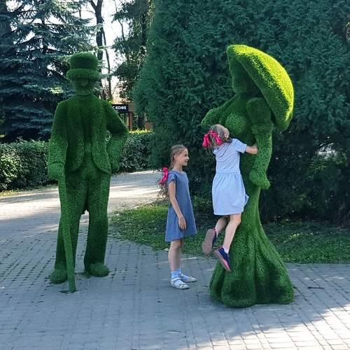 Photo #11651891