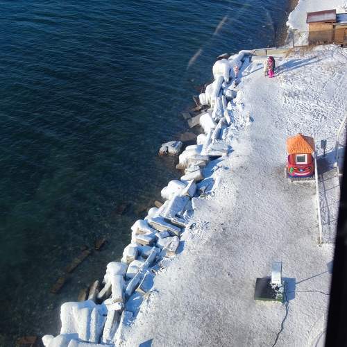 Photo #11652384