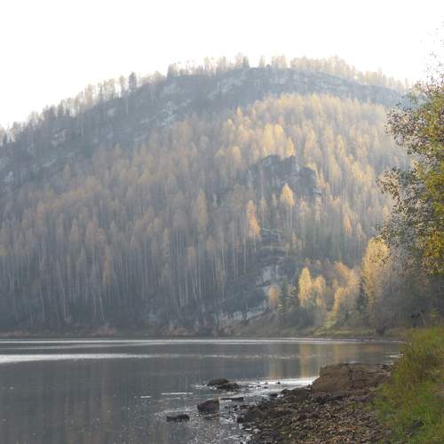 Photo #11652515
