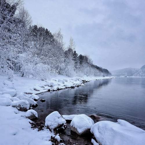 Photo #11652904