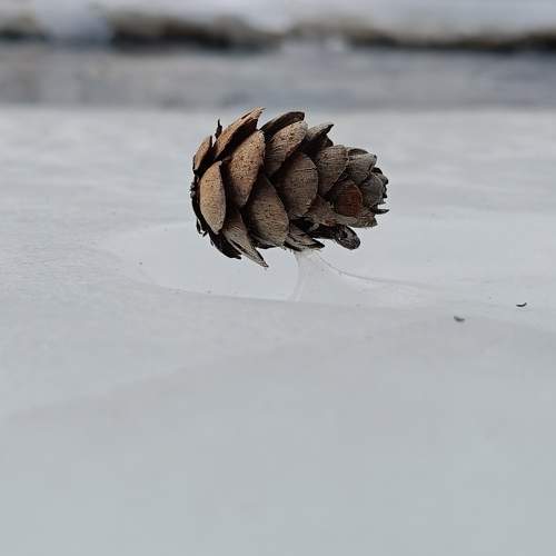 Photo #11653076