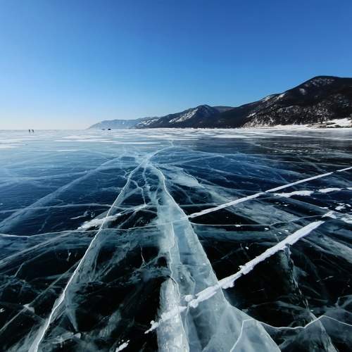 Photo #11653199