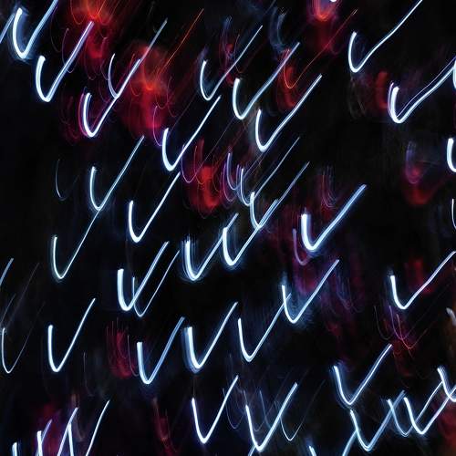 Photo #11653344