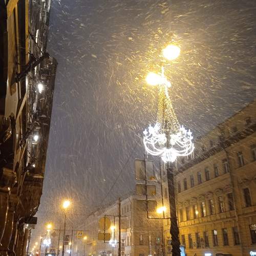 Photo #11653383