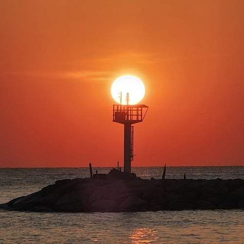 Photo #11653560