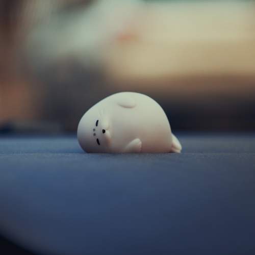 Photo #11653629