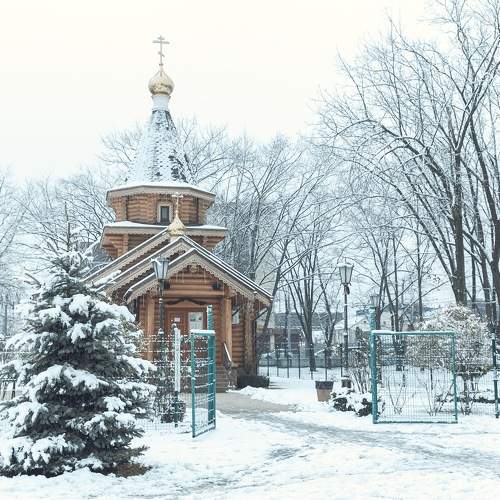 Photo #11653834