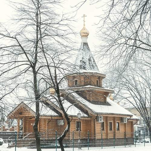 Photo #11653837
