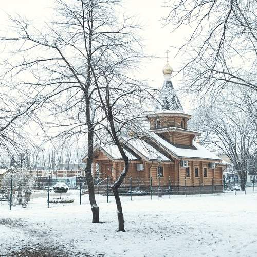 Photo #11653840