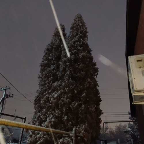 Photo #11654596