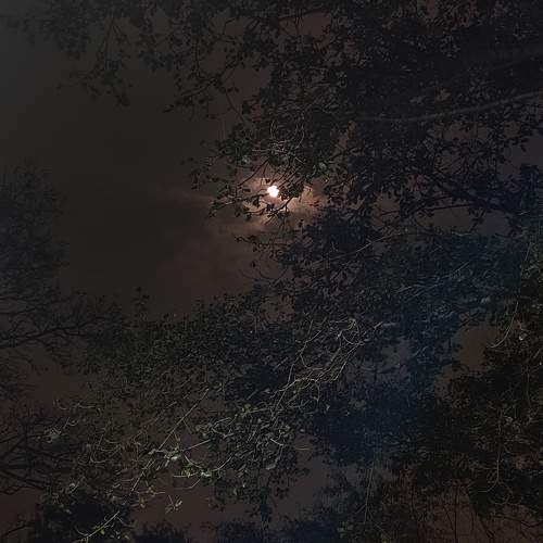Photo #11654941