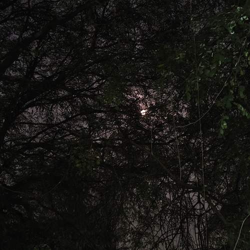 Photo #11654943