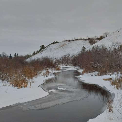 Photo #11654998