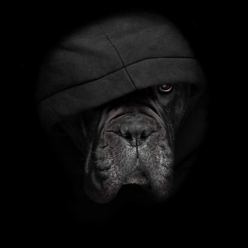 Фотография #11655021