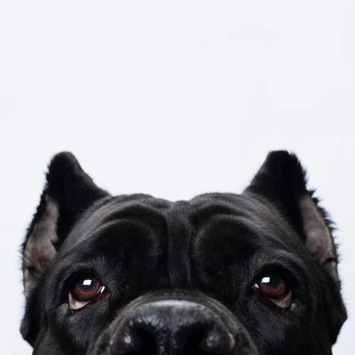 Фотография #11655022