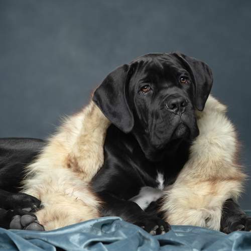 Фотография #11655023