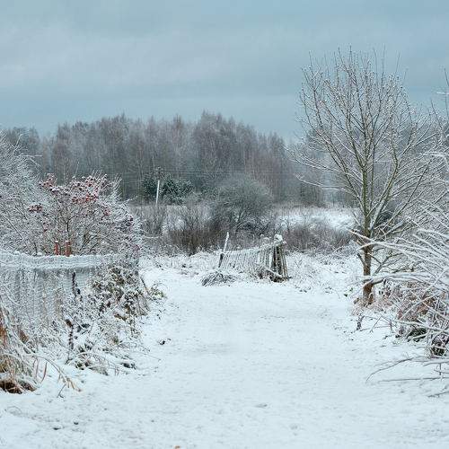 Photo #11655041