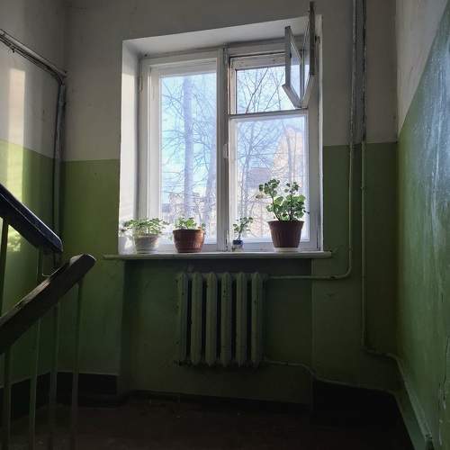 Photo #11655238