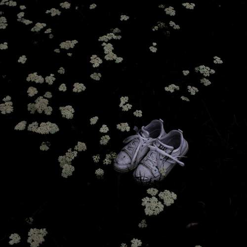 Photo #11655280